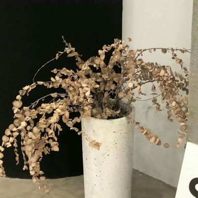 兽设节日场景设计Furry群